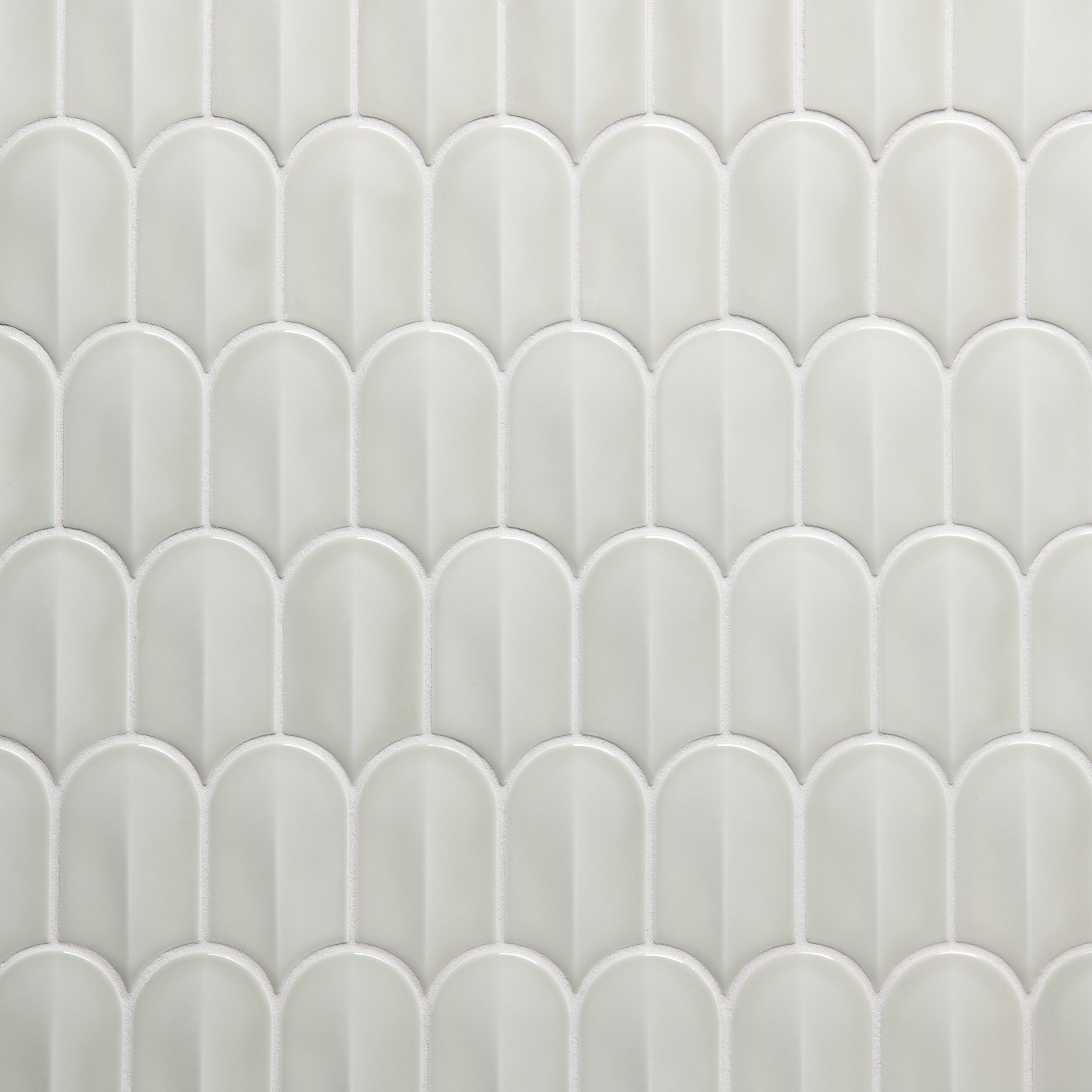 Miramar Scale Eucalyptus Gloss
